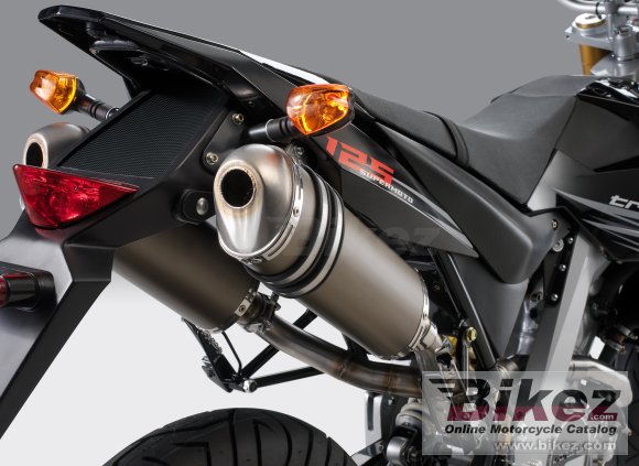 2008 Generic Trigger SM 125 photo